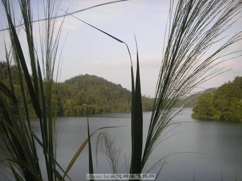 PA025539.JPG