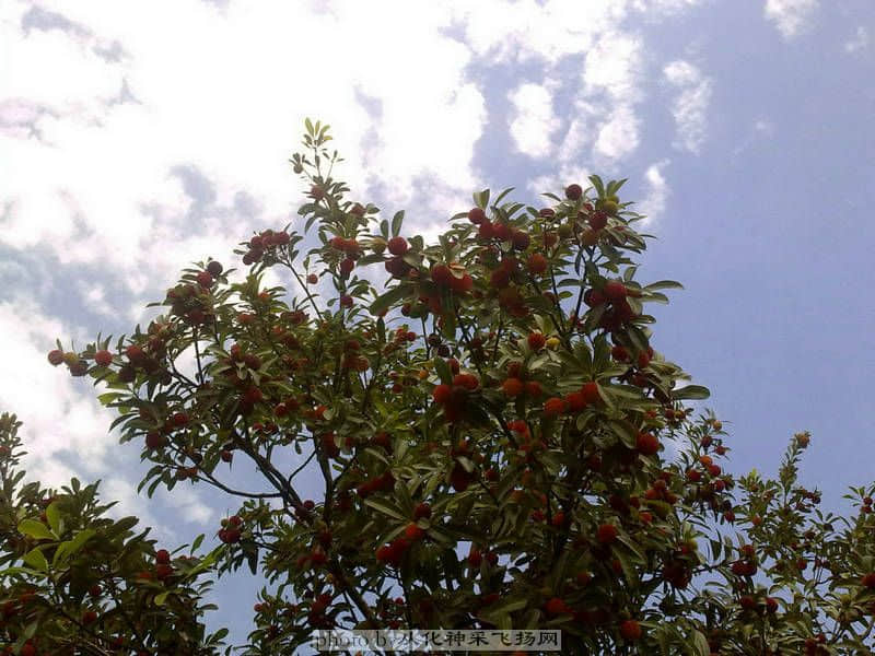 20100523176_副本.jpg