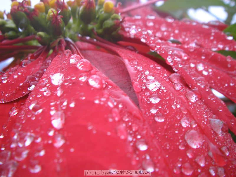 PC115496.JPG
