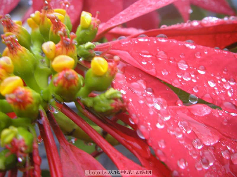PC115495.JPG