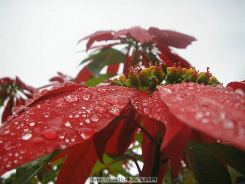 PC115510.JPG