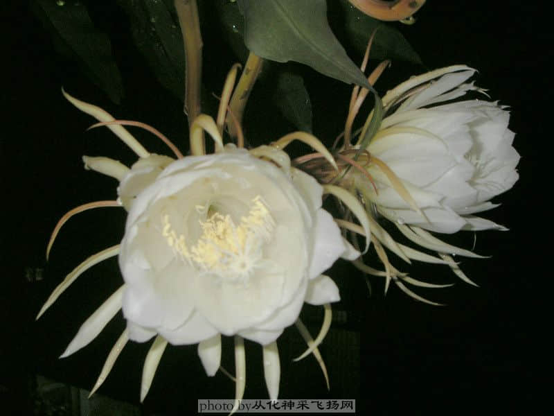 P6143048.JPG