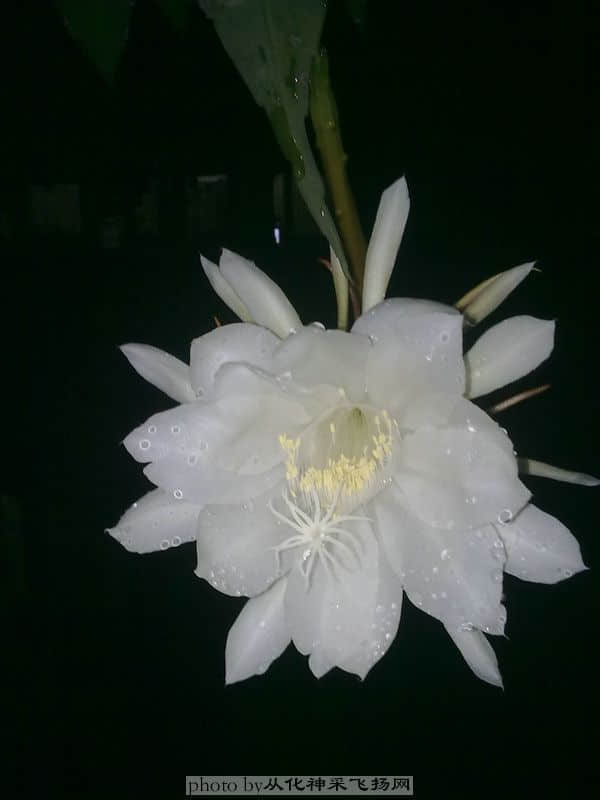 20100717253.jpg