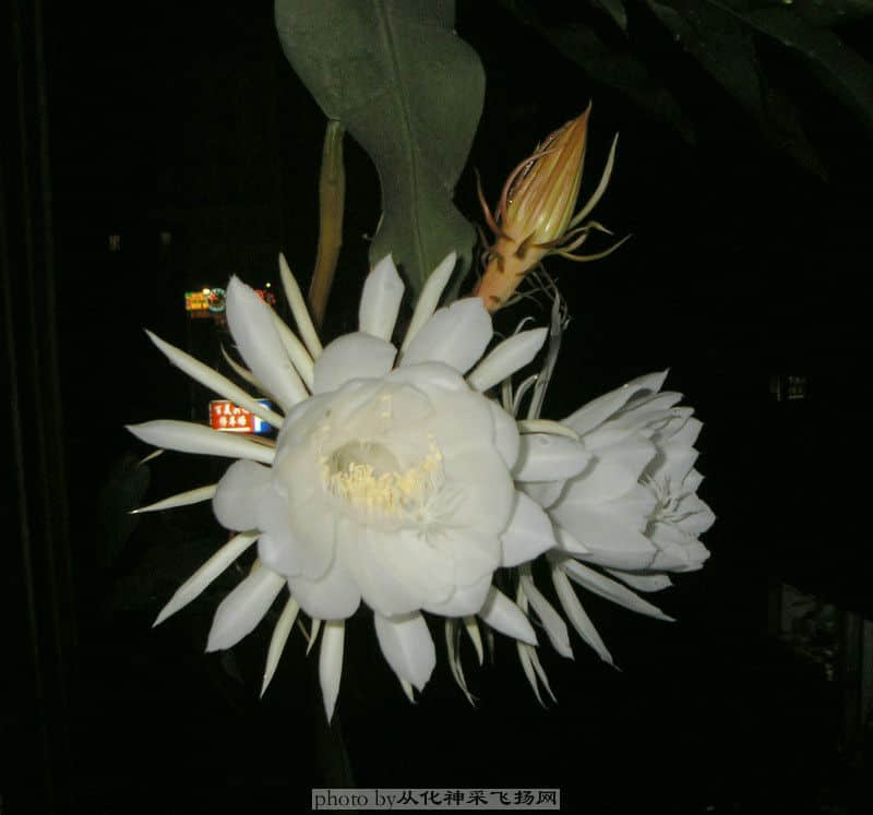 P6143074_副本.JPG