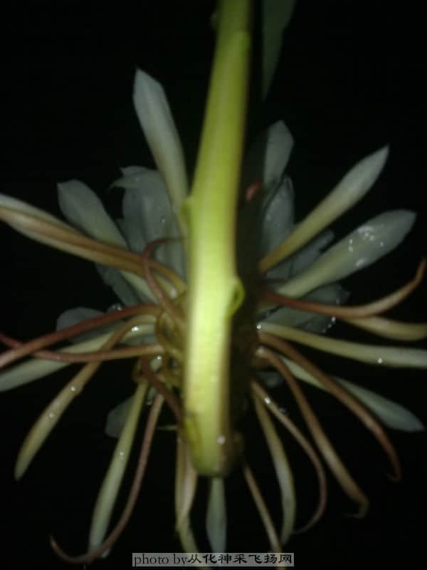 20100717258.jpg