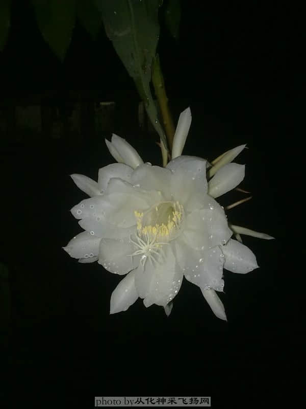 20100717254.jpg