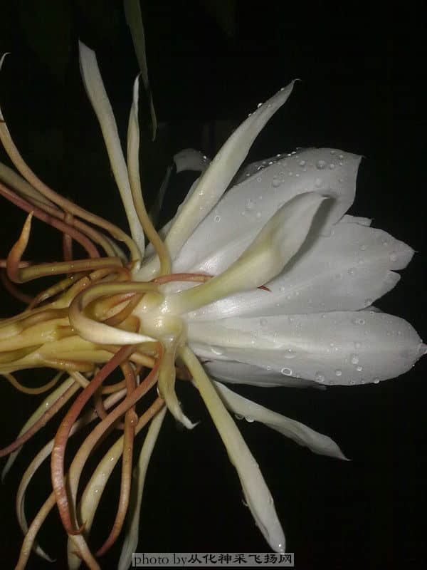 20100717256.jpg