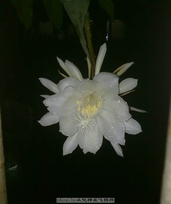 20100717250.jpg