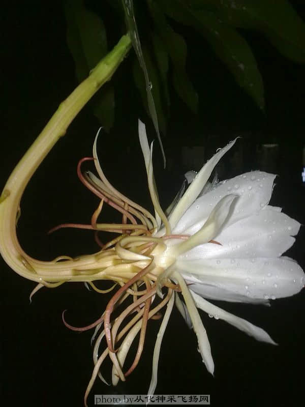 20100717242.jpg