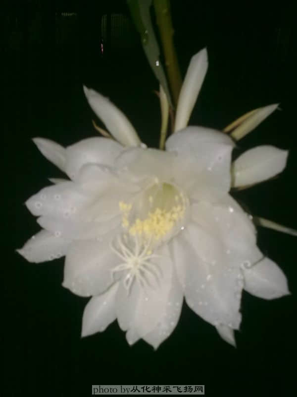 20100717255.jpg