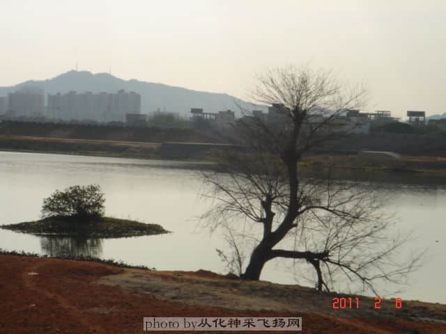DSC06814.JPG