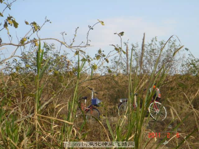 DSC06873.JPG