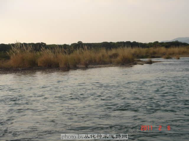DSC06864.JPG