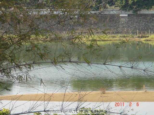 DSC06800.JPG