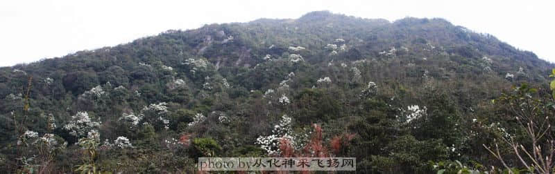 照片 249.jpg