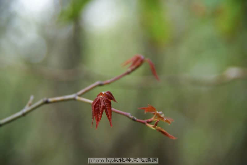 DSC04046.JPG