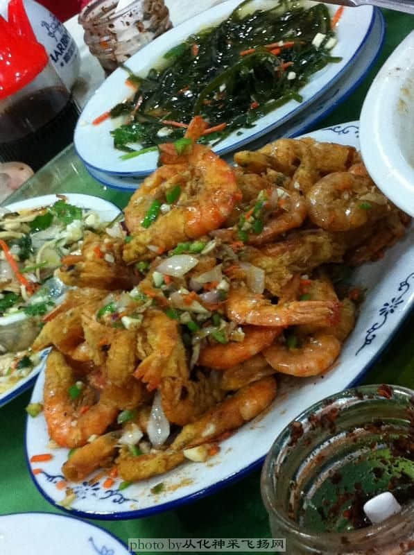 照片 981.JPG