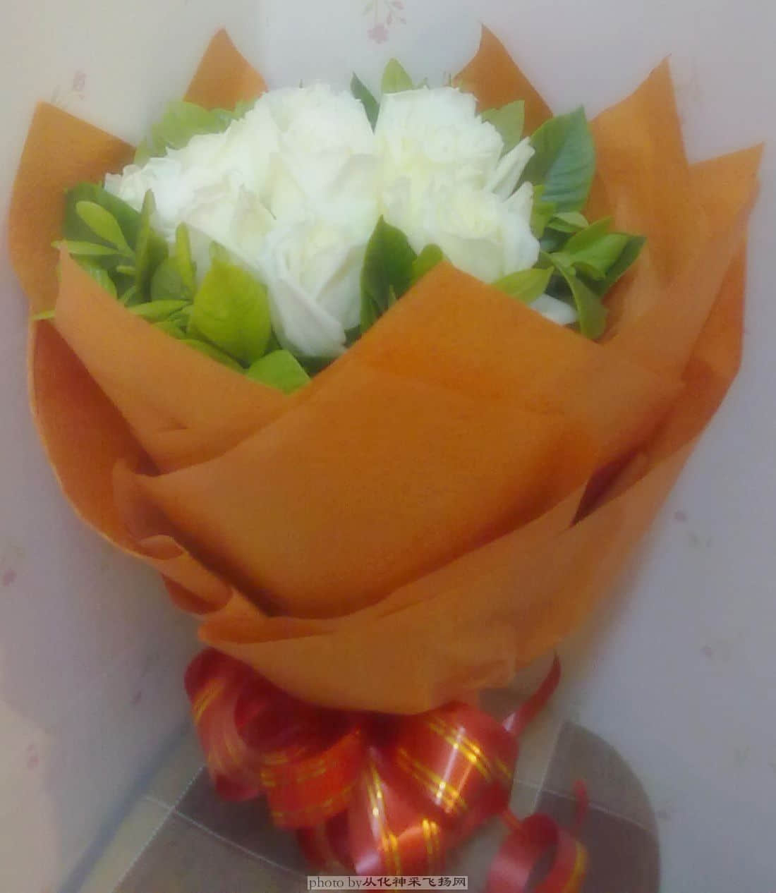 20110520115.jpg