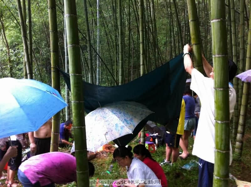 照片 1265.JPG
