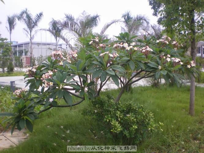 IMGP77332.jpg