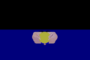 游泳1.gif