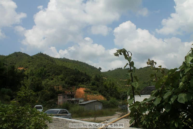 IMG_1128_副本.JPG