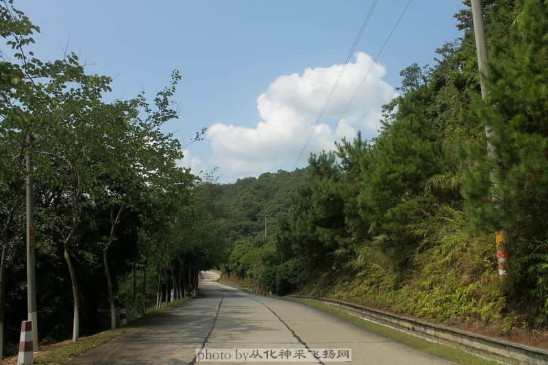 IMG_1114_副本.JPG