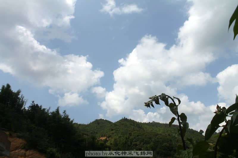 IMG_1125_副本.JPG