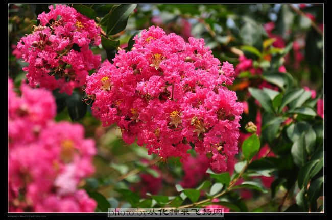 DSC_0750.jpg