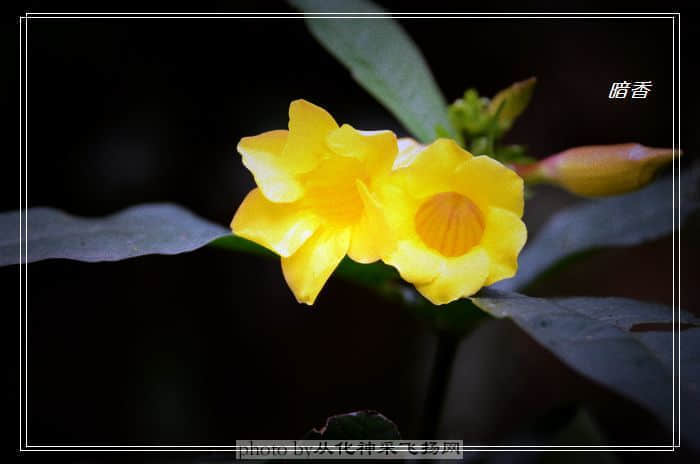 DSC_04492.jpg