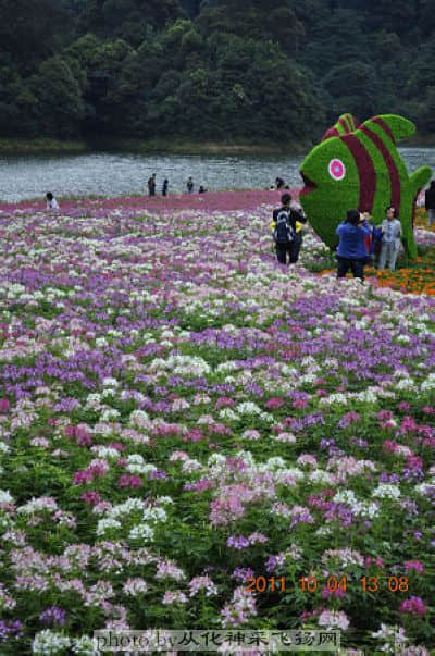 照片 223.jpg