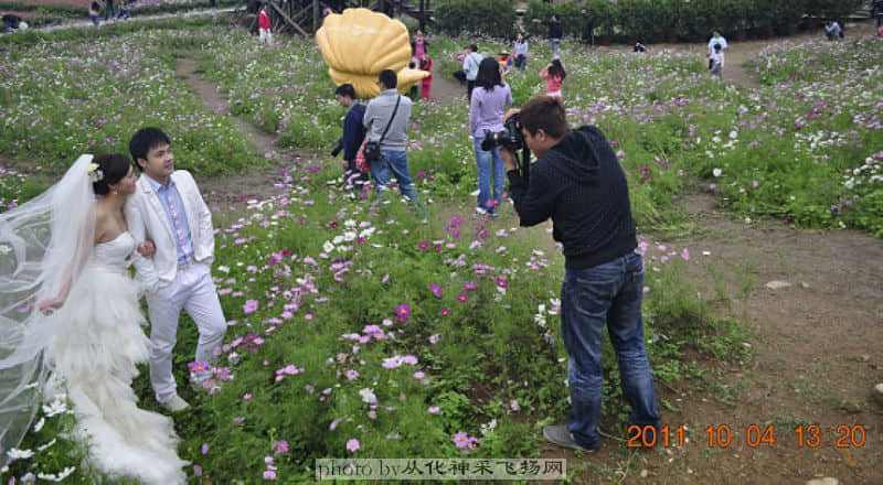 照片 242.jpg