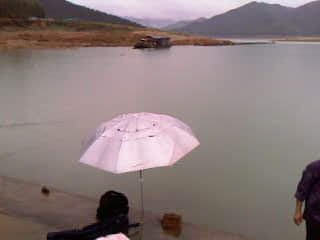 IMAG0041.jpg