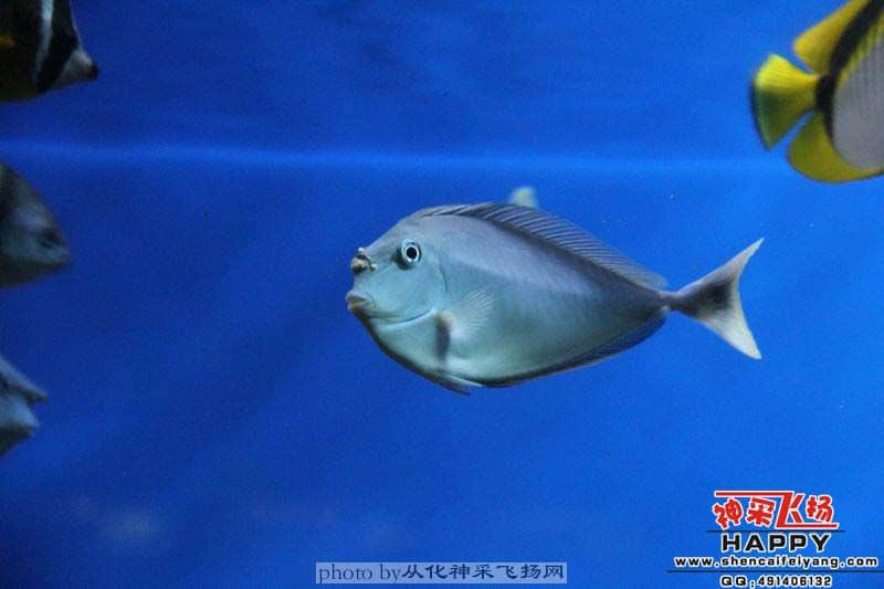 对比3.jpg