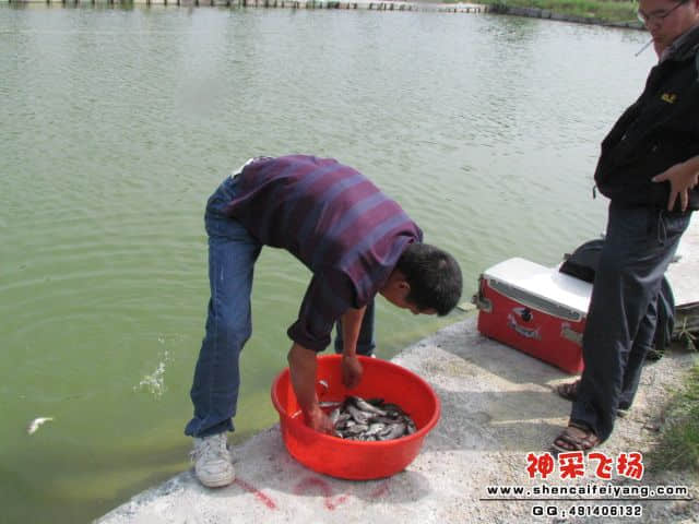高手150.jpg