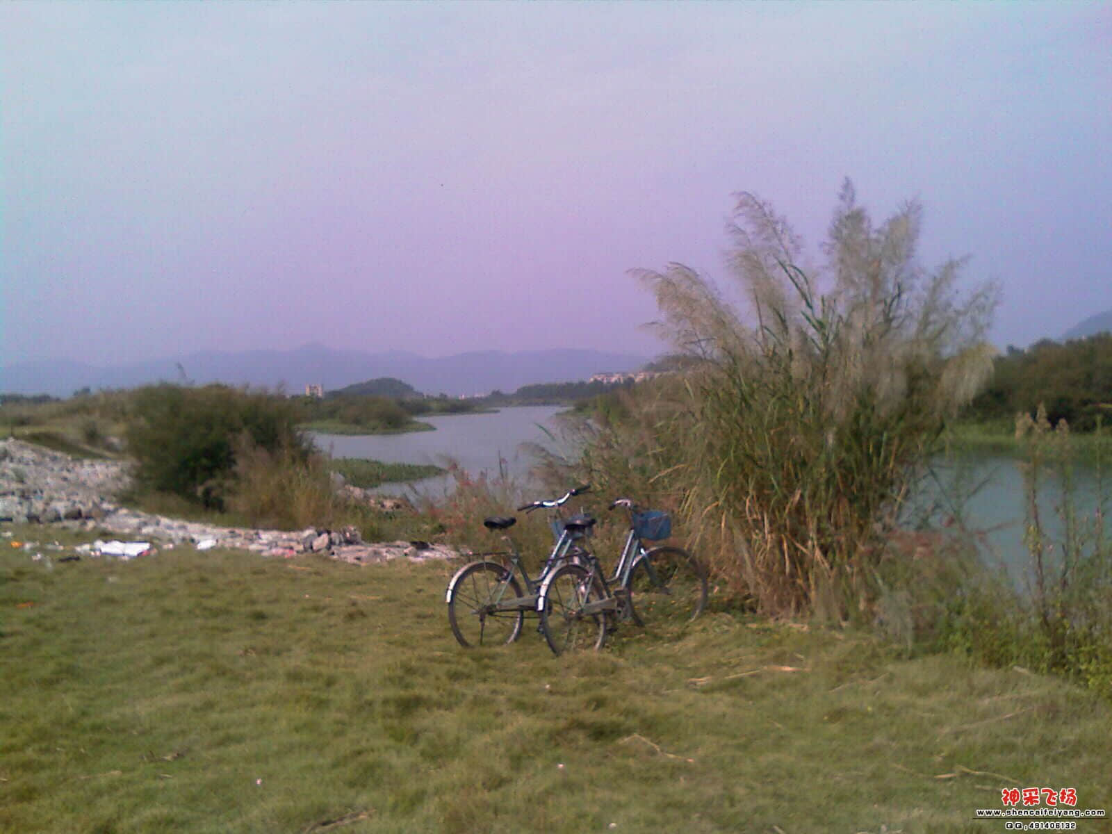 IMAG0195.jpg