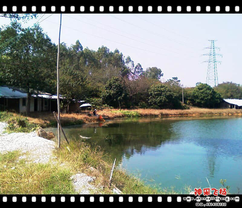 IMAG0205.jpg