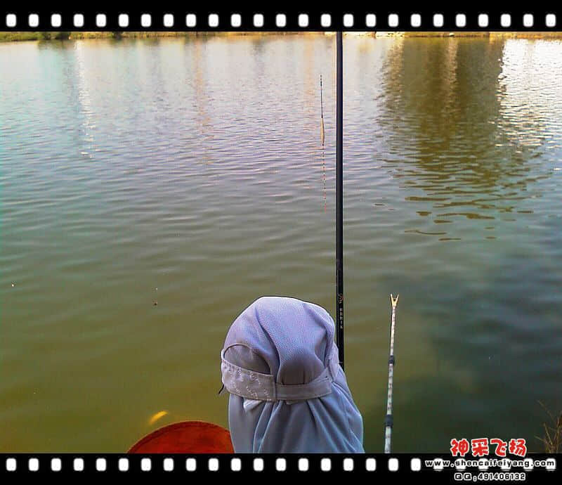 IMAG0210.jpg