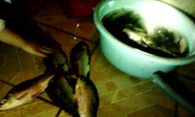 20111106_1850_0.jpg