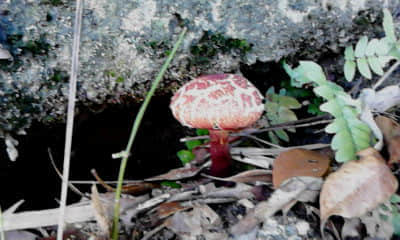 20110924_1124_0.jpg
