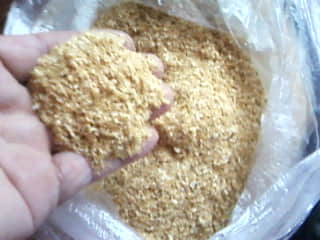 照片-0095.jpg