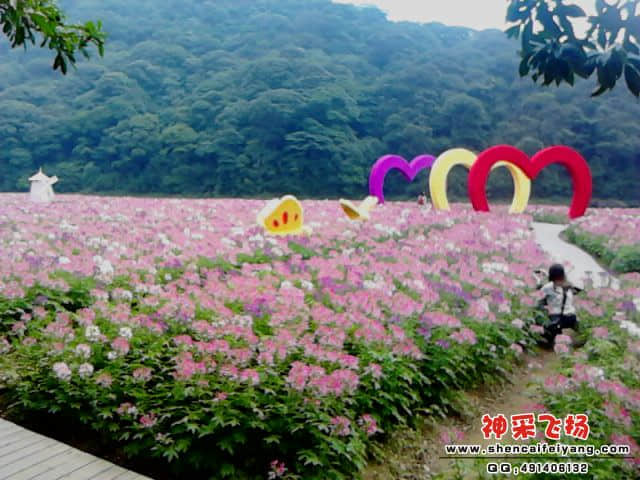 20110924_1230_1.jpg