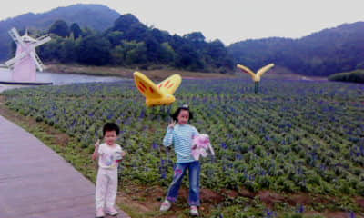20110924_1218_0.jpg