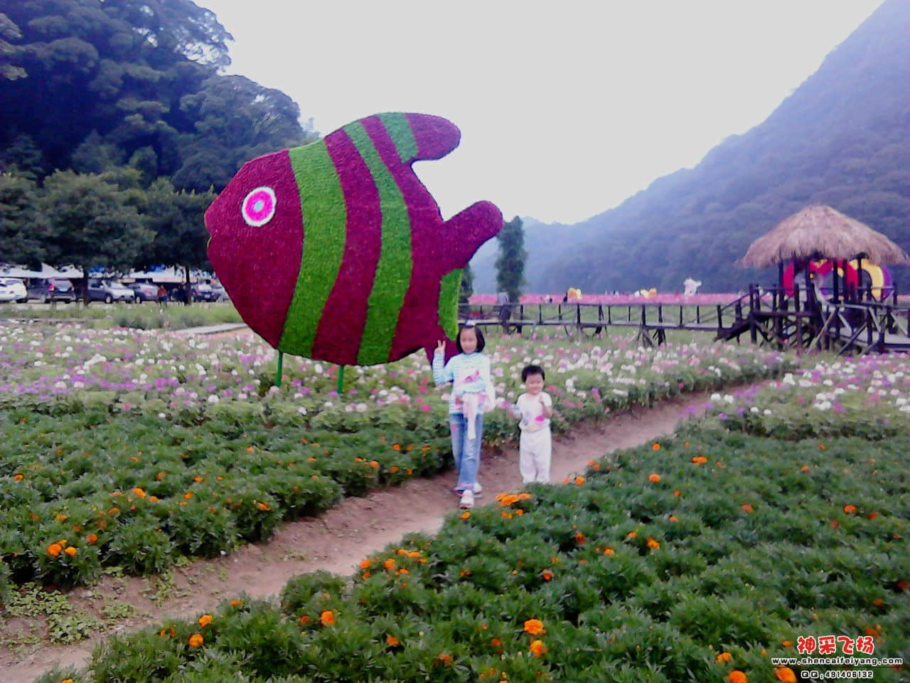 20110924_1221_0.jpg