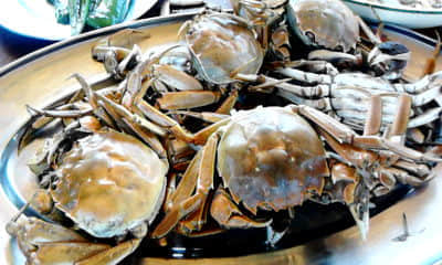 20111018_1419_0.jpg