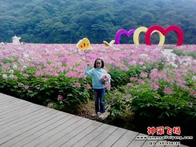 20110924_1229_1.jpg