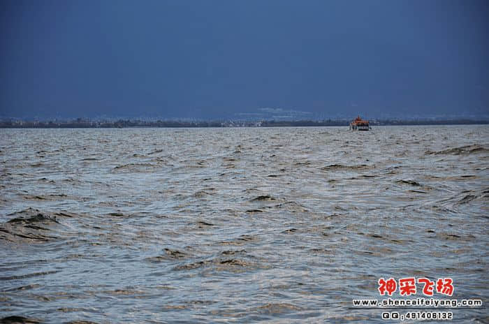 nEO_IMG_DSC_0203.jpg