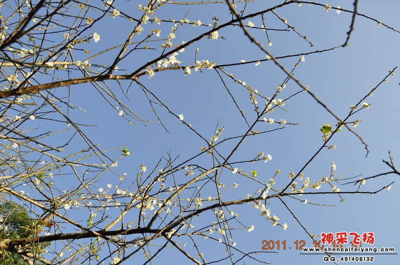 _DSC0096.jpg