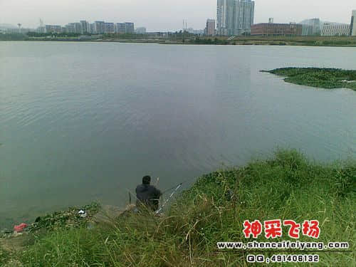 图像357.jpg