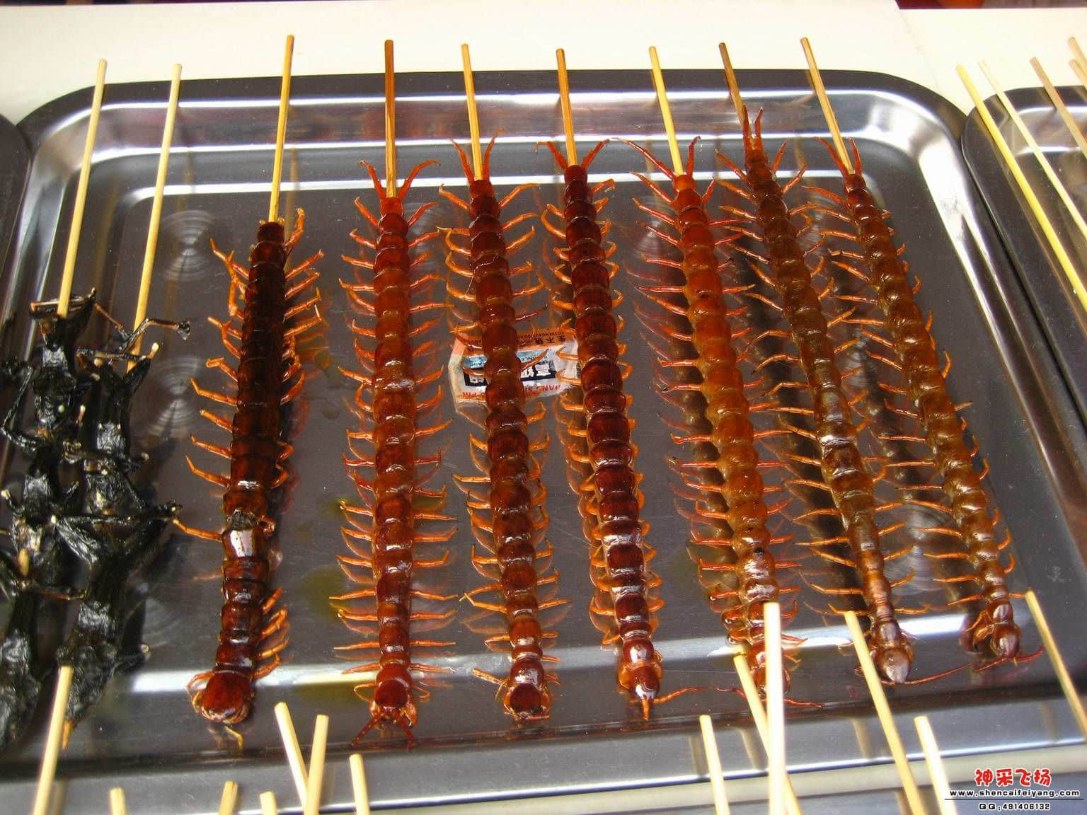 照片 152.jpg